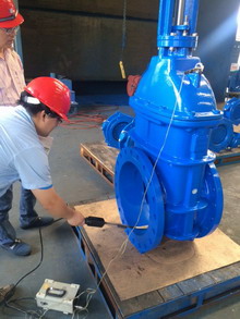 Gate valves for Santos GLNG Project 